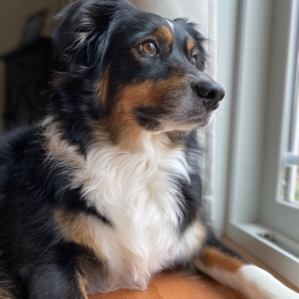 Meet your Posher, Ana